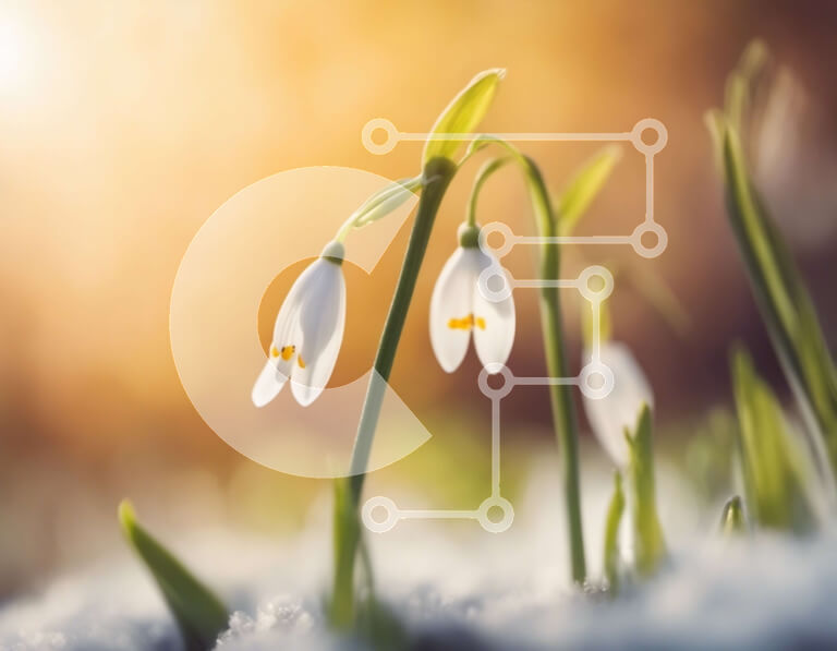 Intra Συλλεκτικό Ξύλινο Παζλ Plywood  4mm - Ανθισμένα Snowdrops σε ένα κρεβάτι του χιονιού Σε Ξύλινο Κουτί - Διαστάσεις: 10x10 cm – 25 κομμάτια