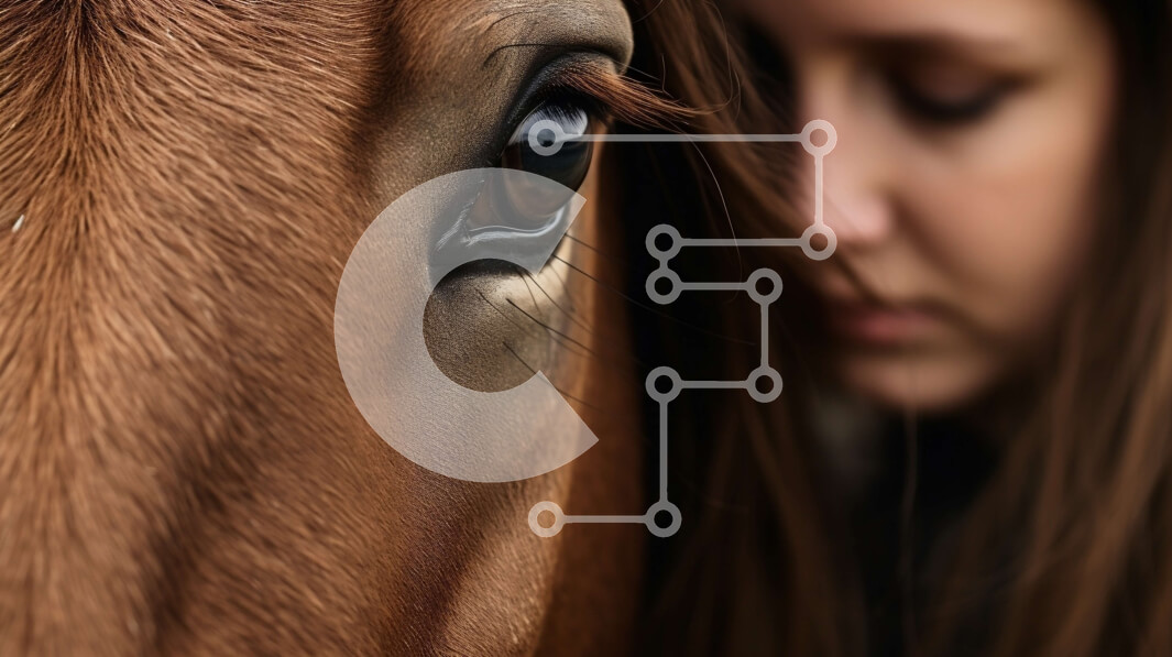 Intra Συλλεκτικό Ξύλινο Παζλ Plywood  4mm - Γυναίκα που κοιτάζει το πρόσωπο ενός αλόγου Σε Ξύλινο Κουτί - Διαστάσεις: 10x10 cm – 25 κομμάτια