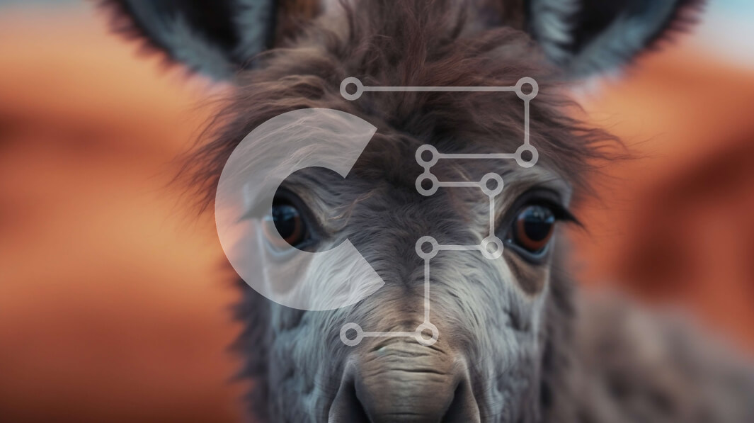 Σετ των 2 Intra Συλλεκτικό Ξύλινο Παζλ Plywood  4mm - Κοντινή όψη του προσώπου του γαϊδάρου με καφέ παλτό και μακριές βλεφαρίδες Σε Ξύλινο Κουτί - Διαστάσεις: 10x10 cm – 25 κομμάτια