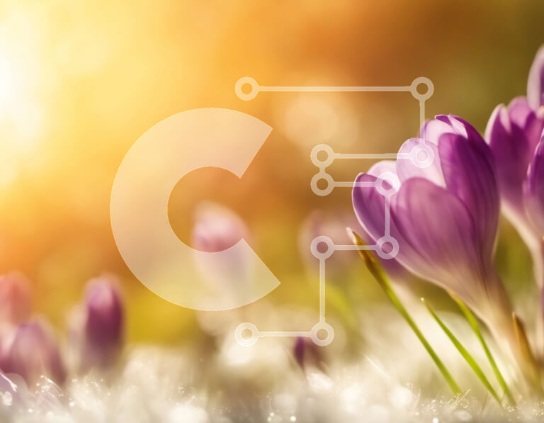 Intra Συλλεκτικό Ξύλινο Παζλ Plywood  4mm - Πεδίο με μωβ κρόκους με λαμπερό ήλιο Σε Ξύλινο Κουτί - Διαστάσεις: 10x10 cm – 25 κομμάτια