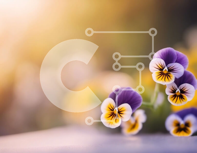 Intra Συλλεκτικό Ξύλινο Παζλ Plywood  4mm - Κοντινό πλάνο μωβ και κίτρινων πανσών Σε Ξύλινο Κουτί - Διαστάσεις: 10x10 cm – 25 κομμάτια