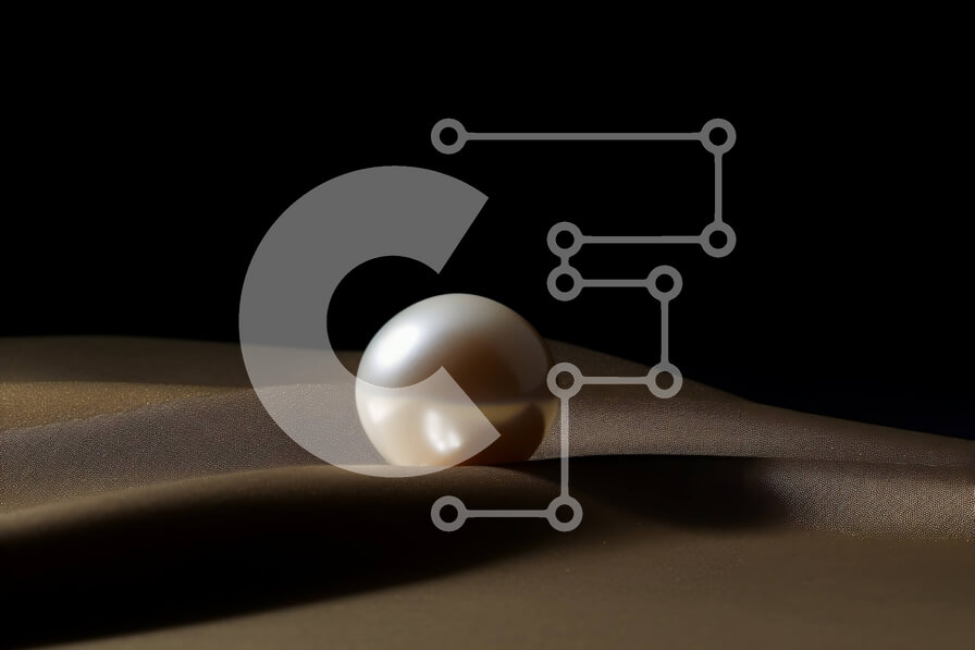 Intra Συλλεκτικό Ξύλινο Παζλ Plywood  4mm - Γκρο πλαν φωτογραφία ενός λευκού μαργαριταριού σε αμμώδη επιφάνεια Σε Ξύλινο Κουτί - Διαστάσεις: 10x10 cm – 25 κομμάτια