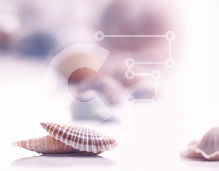 Intra Συλλεκτικό Ξύλινο Παζλ Plywood  4mm - Ομάδα κοχυλιών σε λευκή επιφάνεια Σε Ξύλινο Κουτί - Διαστάσεις: 10x10 cm – 25 κομμάτια