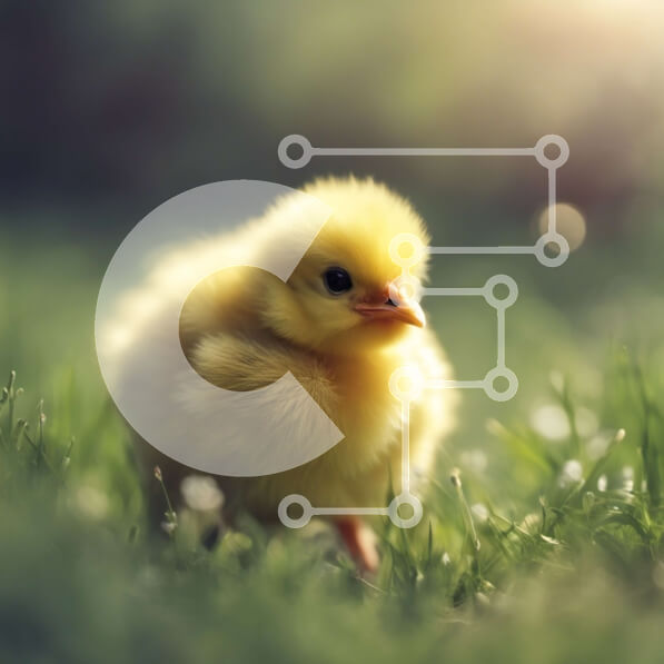 Intra Συλλεκτικό Ξύλινο Παζλ Plywood  4mm - Κίτρινο νεοσσό που στέκεται στην πράσινη χλόη Σε Ξύλινο Κουτί - Διαστάσεις: 10x10 cm – 25 κομμάτια