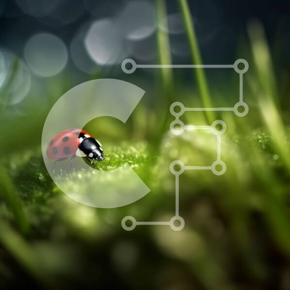 Intra Συλλεκτικό Ξύλινο Παζλ Plywood  4mm - Πασχαλίτσα στην ποώδη επιφάνεια Στοκ Φωτογραφία Σε Ξύλινο Κουτί - Διαστάσεις: 10x10 cm – 25 κομμάτια