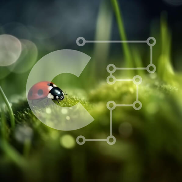 Intra Συλλεκτικό Ξύλινο Παζλ Plywood  4mm - Όμορφη εικόνα μιας πασχαλίτσας σε ένα ειρηνικό δάσος Σε Ξύλινο Κουτί - Διαστάσεις: 10x10 cm – 25 κομμάτια