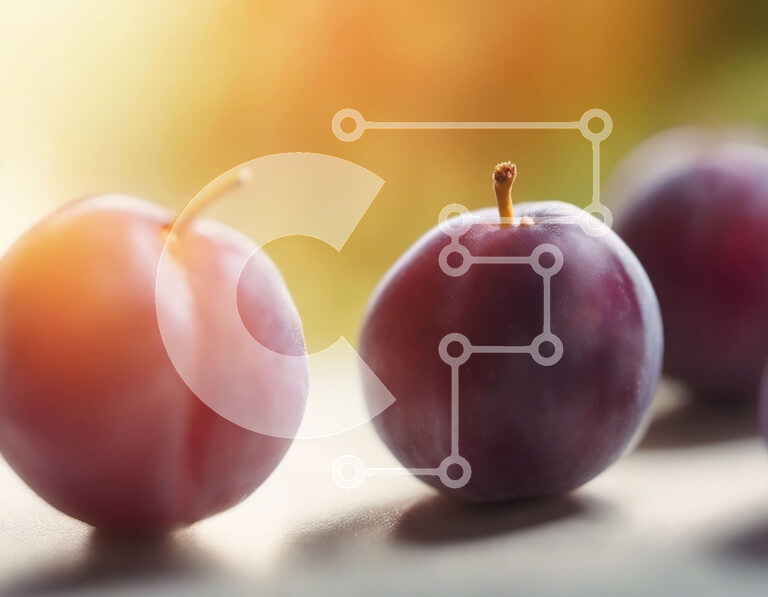 Σετ των 2 Intra Συλλεκτικό Ξύλινο Παζλ Plywood  4mm - Τρία δαμάσκηνα σε ένα τραπέζι Σε Ξύλινο Κουτί - Διαστάσεις: 10x10 cm – 25 κομμάτια