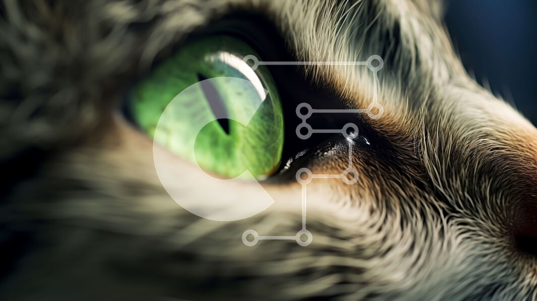 Σετ των 2 Intra Συλλεκτικό Ξύλινο Παζλ Plywood  4mm - Όμορφη κοντινή εικόνα του προσώπου μιας γάτας με πράσινα μάτια και κηλιδωτή γούνα Σε Ξύλινο Κουτί - Διαστάσεις: 10x10 cm – 25 κομμάτια