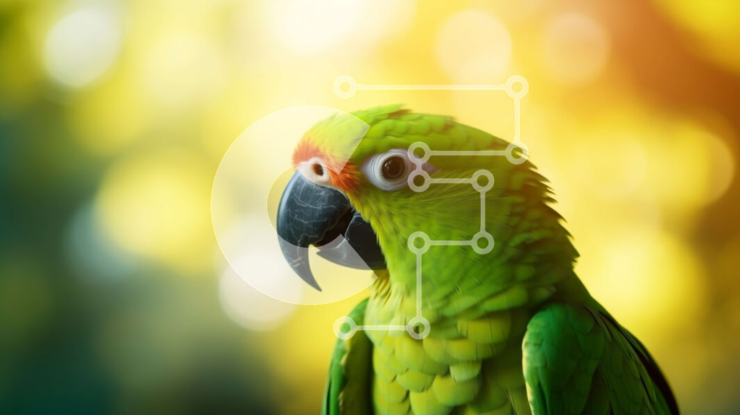 Σετ των 2 Intra Συλλεκτικό Ξύλινο Παζλ Plywood  4mm - Πράσινος παπαγάλος σκαρφαλωμένος και κοιτάζει ψηλά Σε Ξύλινο Κουτί - Διαστάσεις: 10x10 cm – 25 κομμάτια