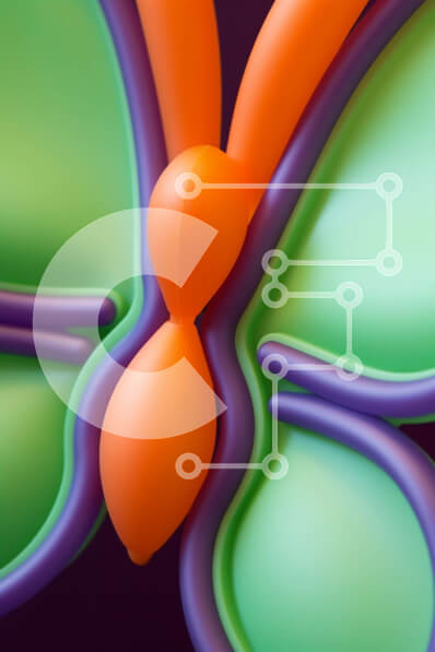 Intra Συλλεκτικό Ξύλινο Παζλ Plywood  4mm - Κοντινό πλάνο ενός ζωντανού γλυπτού πεταλούδας Σε Ξύλινο Κουτί - Διαστάσεις Puzzle: 10x10 cm – 25 κομμάτια