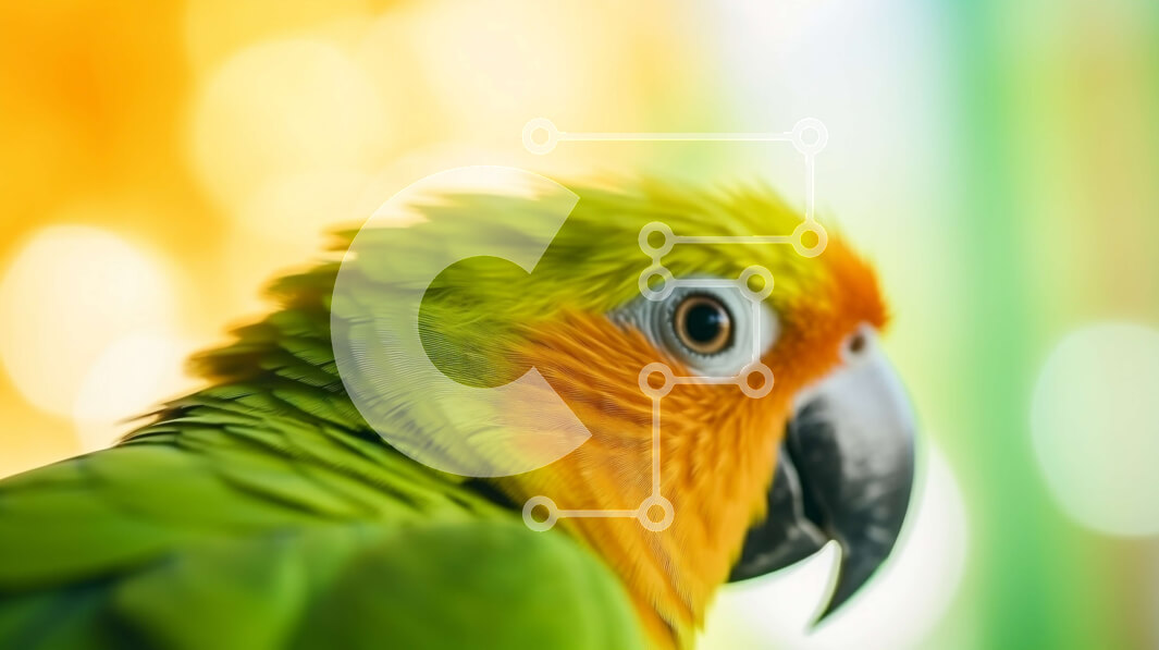 Intra Συλλεκτικό Ξύλινο Παζλ Plywood  4mm - Πράσινος και κίτρινος παπαγάλος σε πολύχρωμο φόντο Σε Ξύλινο Κουτί - Διαστάσεις: 10x10 cm – 25 κομμάτια