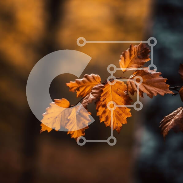 Intra Συλλεκτικό Ξύλινο Παζλ Plywood  4mm - Όμορφη κοντινή λήψη ζωντανού φθινοπωρινού φύλλου σε κλαδί δέντρου Σε Ξύλινο Κουτί - Διαστάσεις: 10x10 cm – 25 κομμάτια