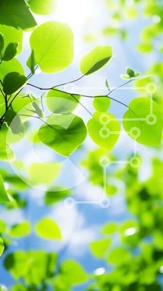 Σετ των 2 Intra Συλλεκτικό Ξύλινο Παζλ Plywood  4mm - Όμορφο δέντρο με πράσινα φύλλα και φως του ήλιου Σε Ξύλινο Κουτί - Διαστάσεις: 10x10 cm – 25 κομμάτια