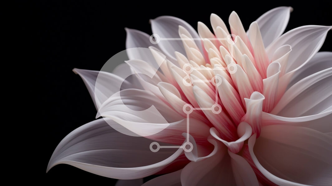 Intra Συλλεκτικό Ξύλινο Παζλ Plywood  4mm - Λευκό λουλούδι με ροζ πέταλα στον αέρα Σε Ξύλινο Κουτί - Διαστάσεις: 10x10 cm – 25 κομμάτια