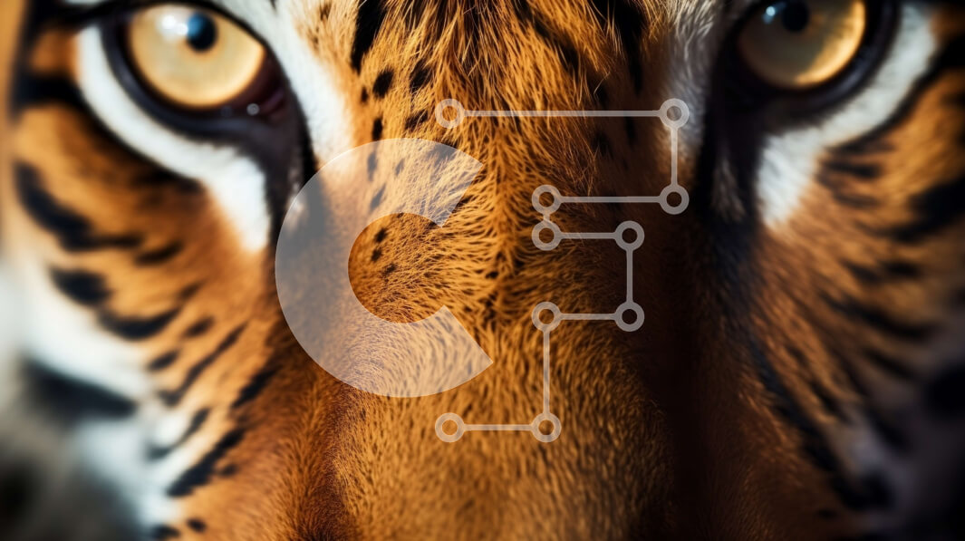 Σετ των 2 Intra Συλλεκτικό Ξύλινο Παζλ Plywood  4mm - Κοντινό πλάνο Πρόσωπο Τίγρης με έντονα κίτρινα μάτια Σε Ξύλινο Κουτί - Διαστάσεις: 10x10 cm – 25 κομμάτια