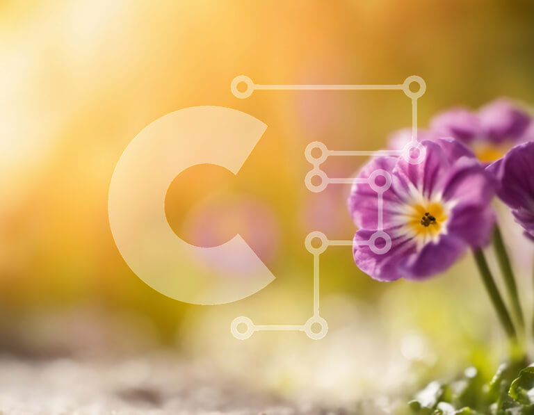 Intra Συλλεκτικό Ξύλινο Παζλ Plywood  4mm - Κοντινό πλάνο του μωβ λουλουδιού με το κίτρινο κέντρο Σε Ξύλινο Κουτί - Διαστάσεις: 10x10 cm – 25 κομμάτια