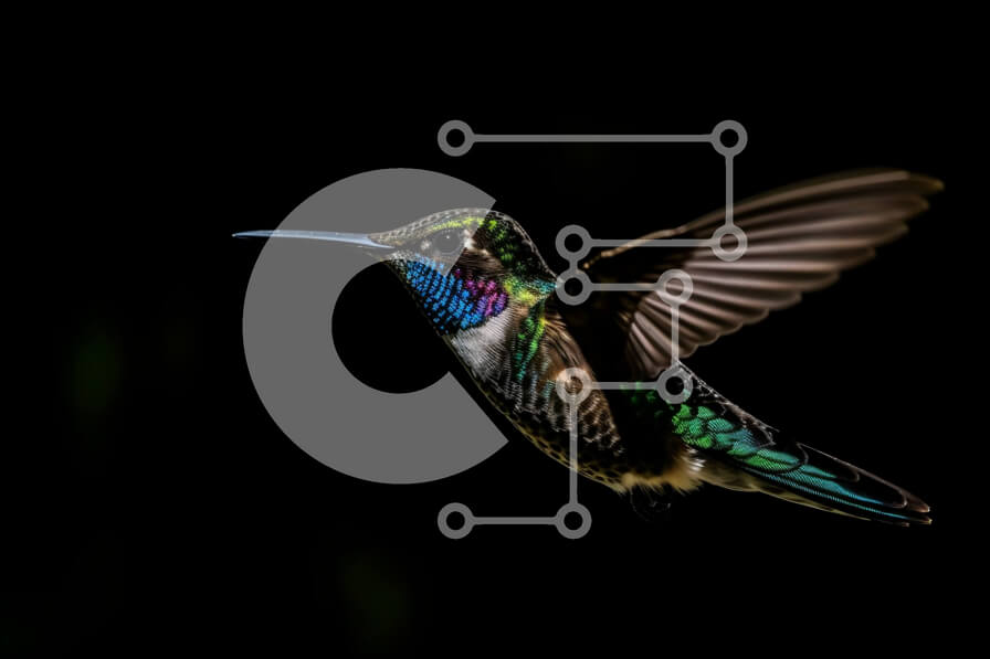 Σετ των 2 Intra Συλλεκτικό Ξύλινο Παζλ Plywood  4mm - Εκπληκτική εικόνα ενός κολιμπρί σε πτήση Σε Ξύλινο Κουτί - Διαστάσεις: 10x10 cm – 25 κομμάτια