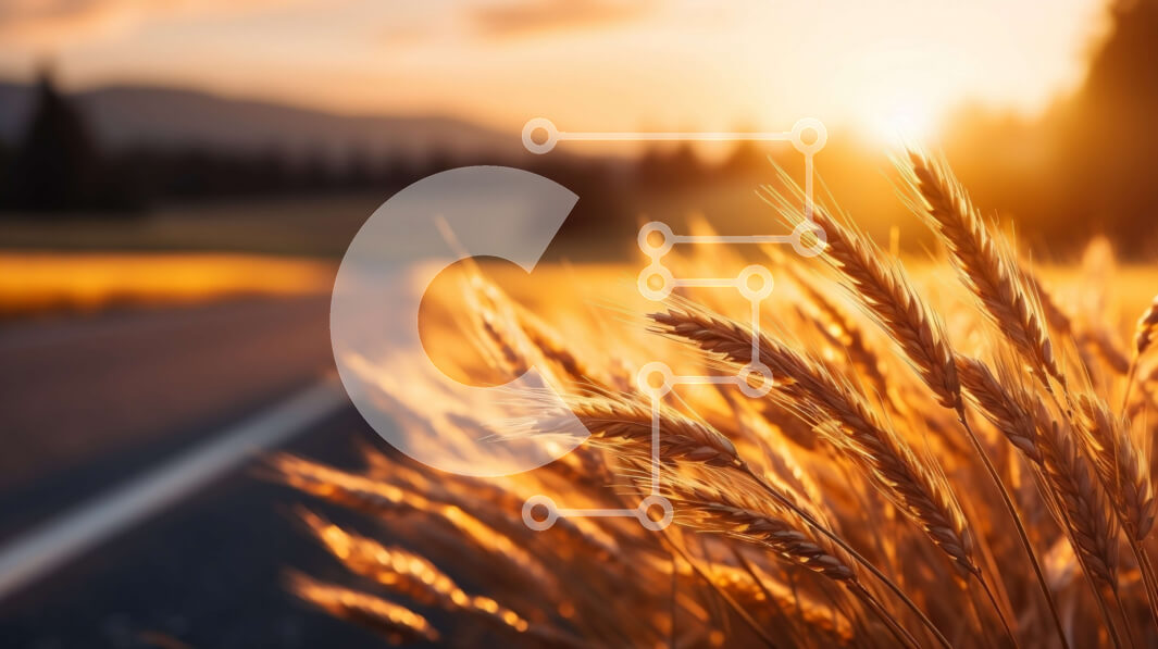 Intra Συλλεκτικό Ξύλινο Παζλ Plywood  4mm - Όμορφη εικόνα του χρυσού χωραφιού σίτου σε μια ηλιόλουστη μέρα Σε Ξύλινο Κουτί - Διαστάσεις: 10x10 cm – 25 κομμάτια