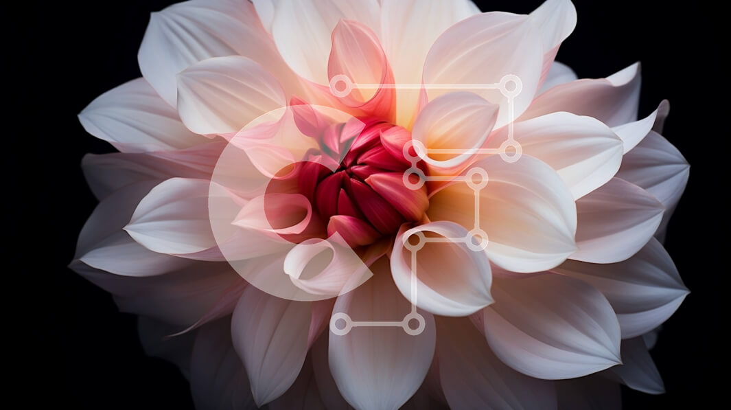 Intra Συλλεκτικό Ξύλινο Παζλ Plywood  4mm - Όμορφο ροζ και λευκό λουλούδι που επιπλέει στο νερό Σε Ξύλινο Κουτί - Διαστάσεις: 10x10 cm – 25 κομμάτια