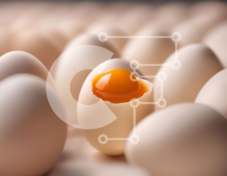 Σετ των 2 Intra Συλλεκτικό Ξύλινο Παζλ Plywood  4mm - Ομάδα λευκών αυγών με φρέσκους κρόκους Σε Ξύλινο Κουτί - Διαστάσεις: 10x10 cm – 25 κομμάτια