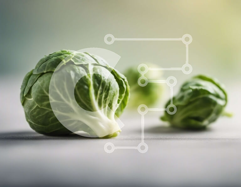 Σετ των 2 Intra Συλλεκτικό Ξύλινο Παζλ Plywood  4mm - Φρέσκα λαχανάκια Βρυξελλών σε ένα ξύλινο τραπέζι Σε Ξύλινο Κουτί - Διαστάσεις: 10x10 cm – 25 κομμάτια