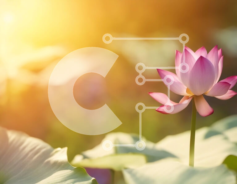 Intra Συλλεκτικό Ξύλινο Παζλ Plywood  4mm - Ροζ λουλούδι λωτού με πράσινα φύλλα και θολό φόντο τοπίων Σε Ξύλινο Κουτί - Διαστάσεις: 10x10 cm – 25 κομμάτια