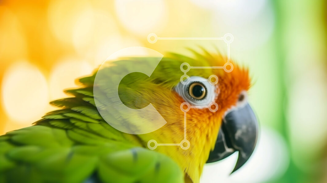 Σετ των 2 Intra Συλλεκτικό Ξύλινο Παζλ Plywood  4mm - Πράσινος και πορτοκαλί παπαγάλος σε πολύχρωμο φόντο Σε Ξύλινο Κουτί - Διαστάσεις: 10x10 cm – 25 κομμάτια