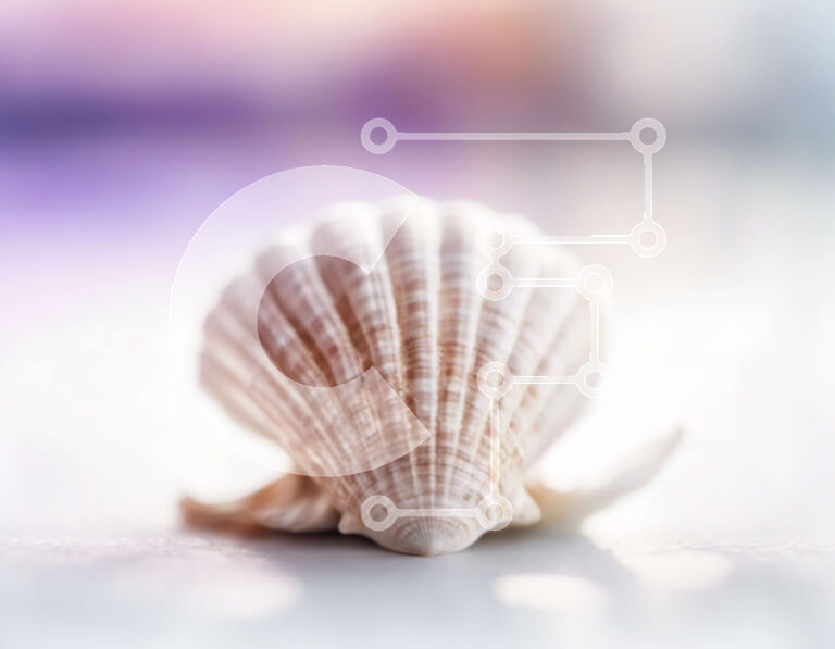 Intra Συλλεκτικό Ξύλινο Παζλ Plywood  4mm - Λευκό κοχύλι σε θολό πολύχρωμο φόντο Σε Ξύλινο Κουτί - Διαστάσεις: 10x10 cm – 25 κομμάτια