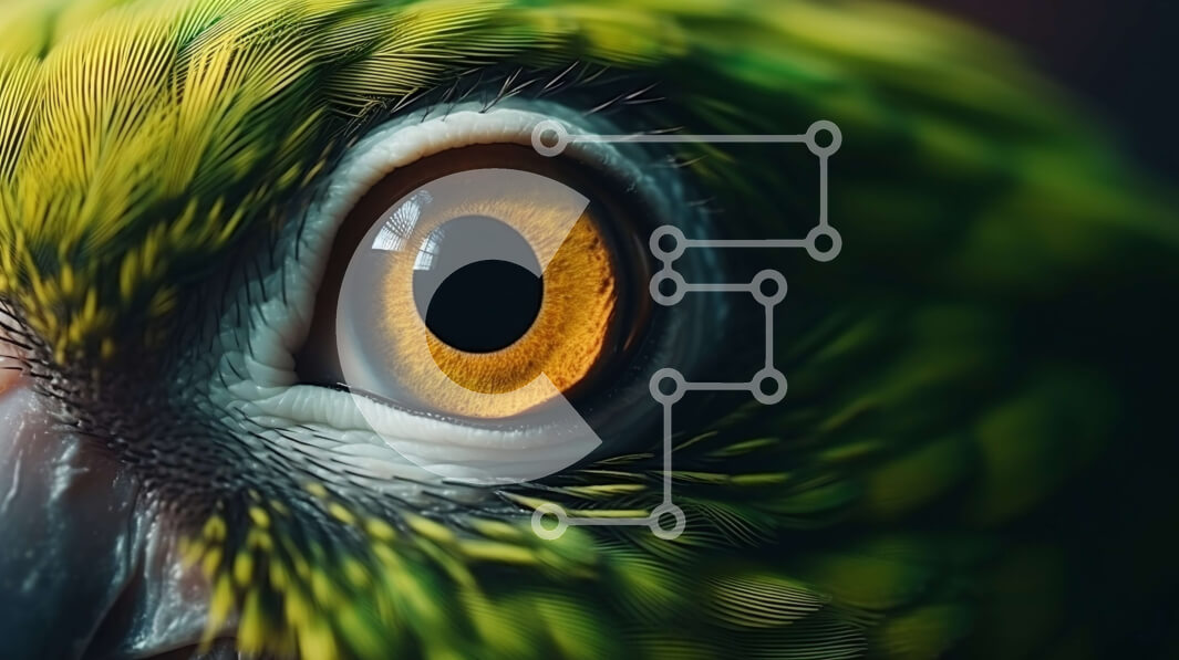 Σετ των 2 Intra Συλλεκτικό Ξύλινο Παζλ Plywood  4mm - Κοντινό πλάνο του ματιού ενός πράσινου και κίτρινου παπαγάλου Σε Ξύλινο Κουτί - Διαστάσεις: 10x10 cm – 25 κομμάτια