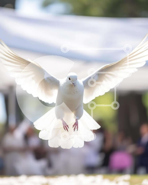 Σετ των 2 Intra Συλλεκτικό Ξύλινο Παζλ Plywood  4mm - Λευκό Περιστέρι σε πτήση σε εκδήλωση ή γιορτή Σε Ξύλινο Κουτί - Διαστάσεις: 10x10 cm – 25 κομμάτια