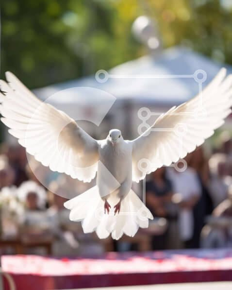 Intra Συλλεκτικό Ξύλινο Παζλ Plywood  4mm - Λευκό Περιστέρι σε μια εορταστική εκδήλωση Σε Ξύλινο Κουτί - Διαστάσεις: 10x10 cm – 25 κομμάτια