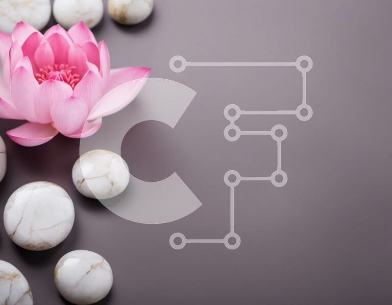 Intra Συλλεκτικό Ξύλινο Παζλ Plywood  4mm - Ροζ λουλούδι λωτού με λευκά βότσαλα σε γκρι φόντο Σε Ξύλινο Κουτί - Διαστάσεις: 10x10 cm – 25 κομμάτια