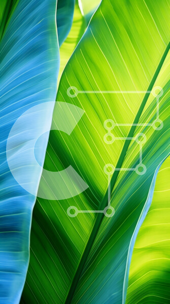 Σετ των 2 Intra Συλλεκτικό Ξύλινο Παζλ Plywood  4mm - Κοντινό πλάνο από πράσινα και μπλε φύλλα μπανάνας Σε Ξύλινο Κουτί - Διαστάσεις: 10x10 cm – 25 κομμάτια