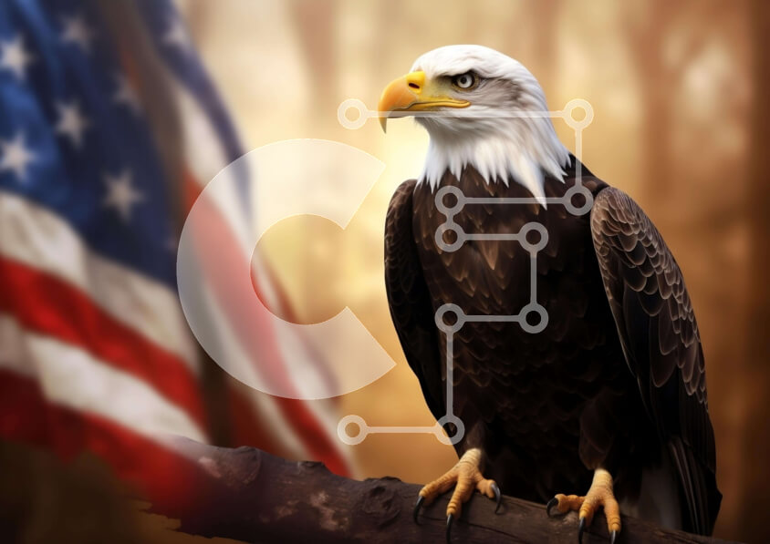 Σετ των 2 Intra Συλλεκτικό Ξύλινο Παζλ Plywood  4mm - Αετός σκαρφαλωμένος σε ένα κλαδί με την αμερικανική σημαία στο βάθος Σε Ξύλινο Κουτί - Διαστάσεις: 10x10 cm – 25 κομμάτια