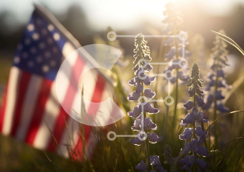 Intra Συλλεκτικό Ξύλινο Παζλ Plywood  4mm - Αμερικανική σημαία με πορφυρά λουλούδια στο χορτάρι Σε Ξύλινο Κουτί - Διαστάσεις: 10x10 cm – 25 κομμάτια