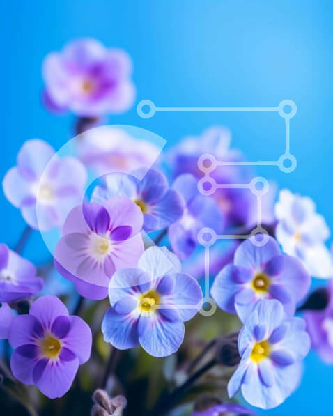 Intra Συλλεκτικό Ξύλινο Παζλ Plywood  4mm - Κοντινό πλάνο μωβ και λευκά λουλούδια στην άνθιση Σε Ξύλινο Κουτί - Διαστάσεις: 10x10 cm – 25 κομμάτια