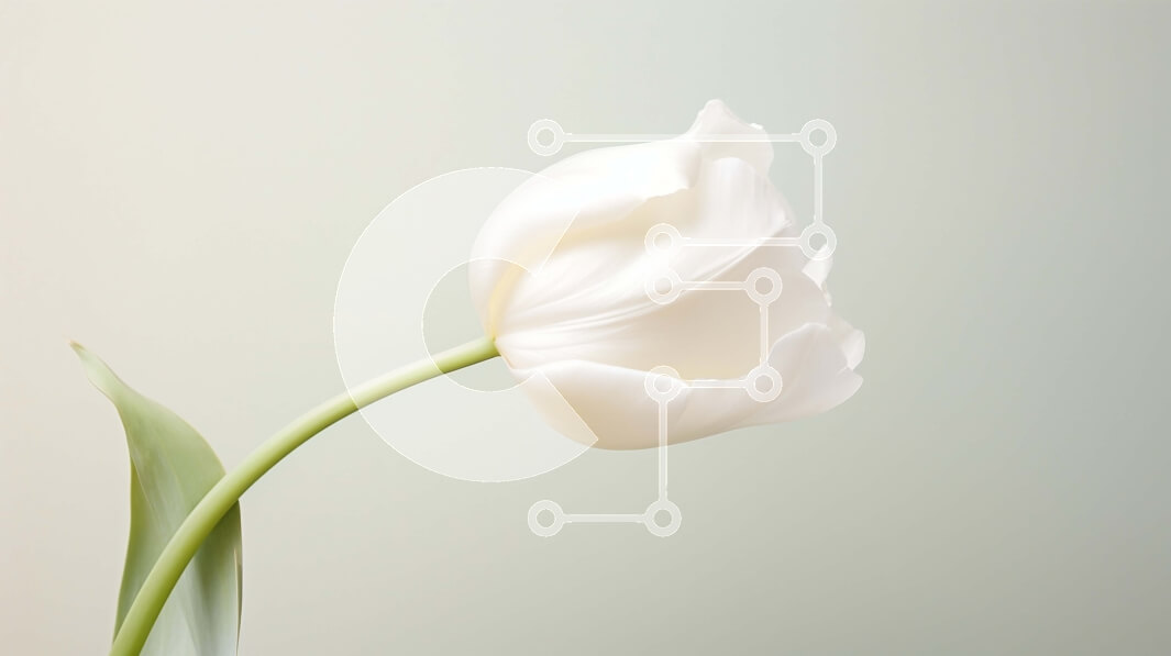 Intra Συλλεκτικό Ξύλινο Παζλ Plywood  4mm - Λευκό λουλούδι τουλίπας σε υπόλευκο φόντο Σε Ξύλινο Κουτί - Διαστάσεις: 10x10 cm – 25 κομμάτια