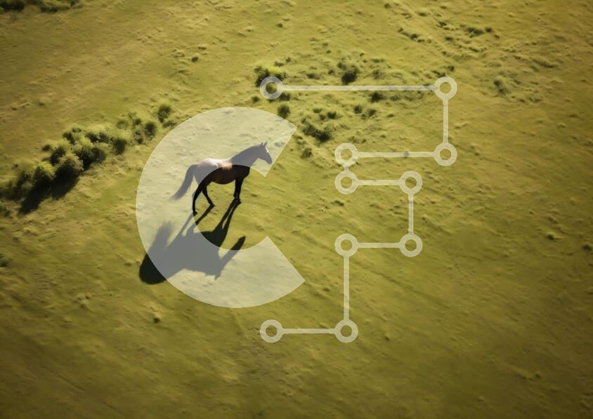 Intra Συλλεκτικό Ξύλινο Παζλ Plywood  4mm - Αεροφωτογραφία του καφέ αλόγου στο χορτάρι Σε Ξύλινο Κουτί - Διαστάσεις: 10x10 cm – 25 κομμάτια