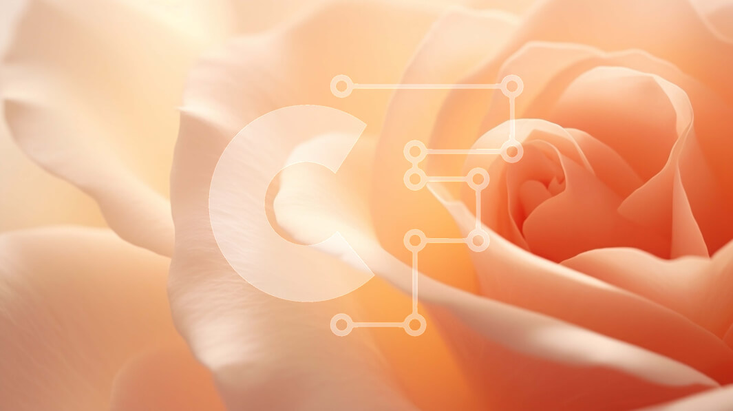 Intra Συλλεκτικό Ξύλινο Παζλ Plywood  4mm - Κοντινό πλάνο του ανθισμένου πορτοκαλιού τριαντάφυλλου Σε Ξύλινο Κουτί - Διαστάσεις: 10x10 cm – 25 κομμάτια