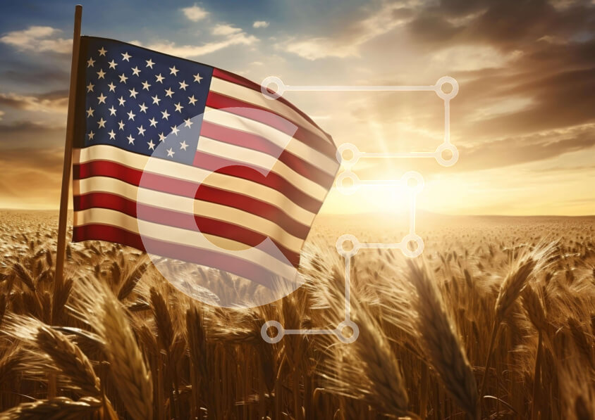 Intra Συλλεκτικό Ξύλινο Παζλ Plywood  4mm - Πατριωτική αμερικανική σημαία στο χωράφι σίτου στο ηλιοβασίλεμα Σε Ξύλινο Κουτί - Διαστάσεις: 10x10 cm – 25 κομμάτια