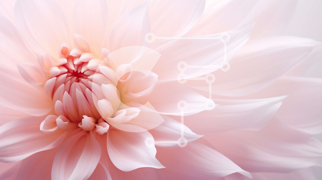 Intra Συλλεκτικό Ξύλινο Παζλ Plywood  4mm - Ροζ λουλούδι σε πλήρη άνθιση Σε Ξύλινο Κουτί - Διαστάσεις: 10x10 cm – 25 κομμάτια