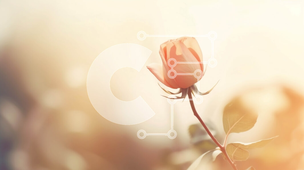 Intra Συλλεκτικό Ξύλινο Παζλ Plywood  4mm - Μονό ροζ τριαντάφυλλο σε ανοιχτό χωράφι Σε Ξύλινο Κουτί - Διαστάσεις: 10x10 cm – 25 κομμάτια