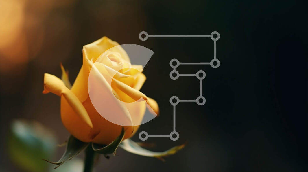 Intra Συλλεκτικό Ξύλινο Παζλ Plywood  4mm - Μονό κίτρινο τριαντάφυλλο με θολό φόντο Σε Ξύλινο Κουτί - Διαστάσεις: 10x10 cm – 25 κομμάτια