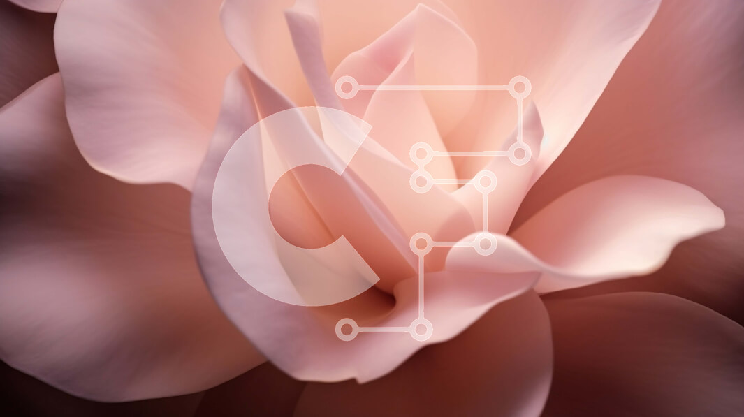 Intra Συλλεκτικό Ξύλινο Παζλ Plywood  4mm - Κοντινό πλάνο του ροζ λουλουδιού Σε Ξύλινο Κουτί - Διαστάσεις: 10x10 cm – 25 κομμάτια