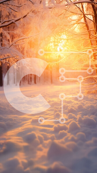 Σετ των 2 Intra Συλλεκτικό Ξύλινο Παζλ Plywood  4mm - Χιονισμένο δάσος με δέντρα καλυμμένα στο χιόνι Σε Ξύλινο Κουτί - Διαστάσεις: 10x10 cm – 25 κομμάτια