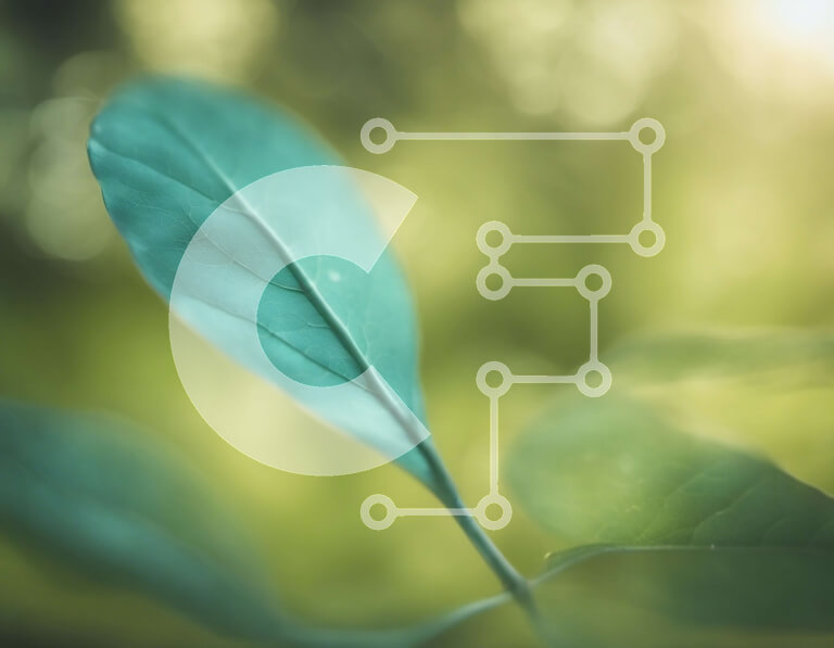 Intra Συλλεκτικό Ξύλινο Παζλ Plywood  4mm - Πράσινο φύλλο με το φως του ήλιου που λάμπει Σε Ξύλινο Κουτί - Διαστάσεις: 10x10 cm – 25 κομμάτια