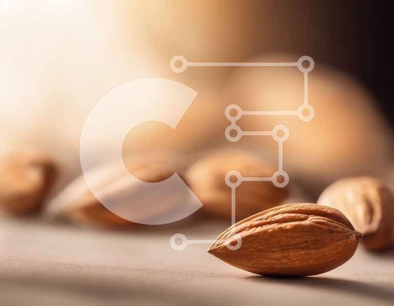 Σετ των 2 Intra Συλλεκτικό Ξύλινο Παζλ Plywood  4mm - Φρέσκα αμύγδαλα τοποθετημένα σε κύκλο σε ένα τραπέζι Σε Ξύλινο Κουτί - Διαστάσεις: 10x10 cm – 25 κομμάτια