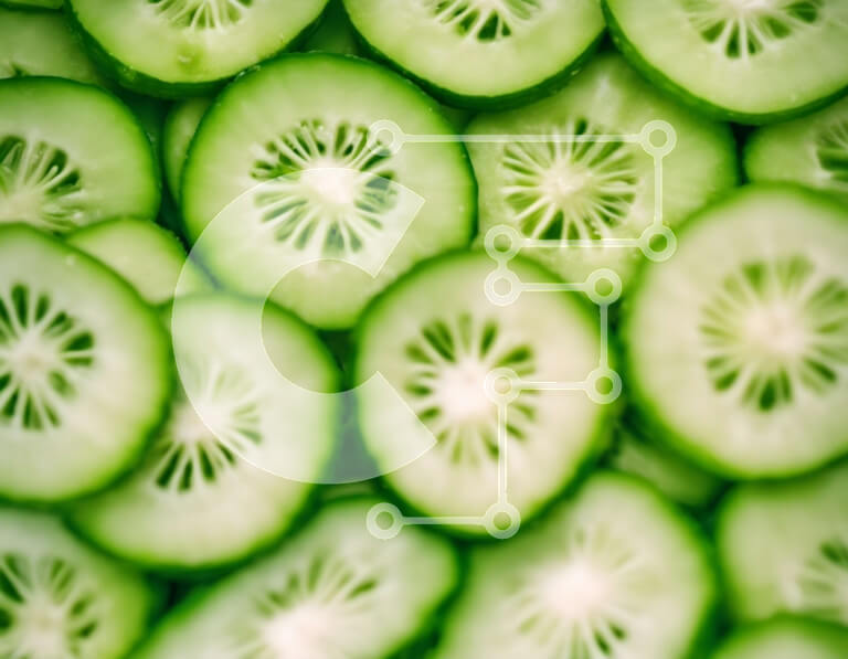 Σετ των 2 Intra Συλλεκτικό Ξύλινο Παζλ Plywood  4mm - Κοντινό πλάνο διάφορων φετών αγγουριού Σε Ξύλινο Κουτί - Διαστάσεις: 10x10 cm – 25 κομμάτια