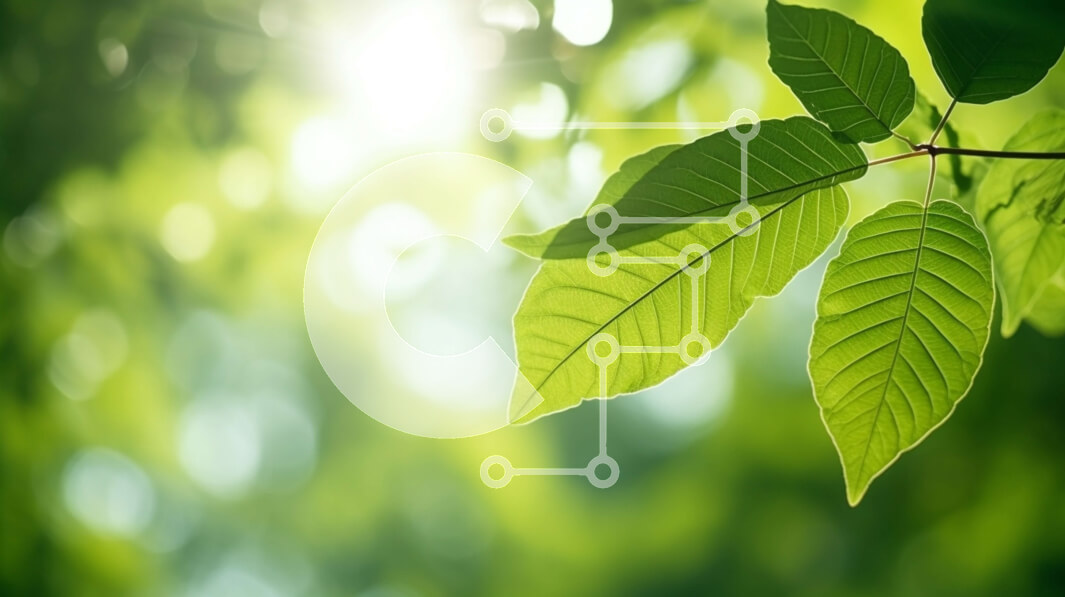 Intra Συλλεκτικό Ξύλινο Παζλ Plywood  4mm - Πράσινα φύλλα σε κλαδί δέντρου με το φως του ήλιου Σε Ξύλινο Κουτί - Διαστάσεις: 10x10 cm – 25 κομμάτια