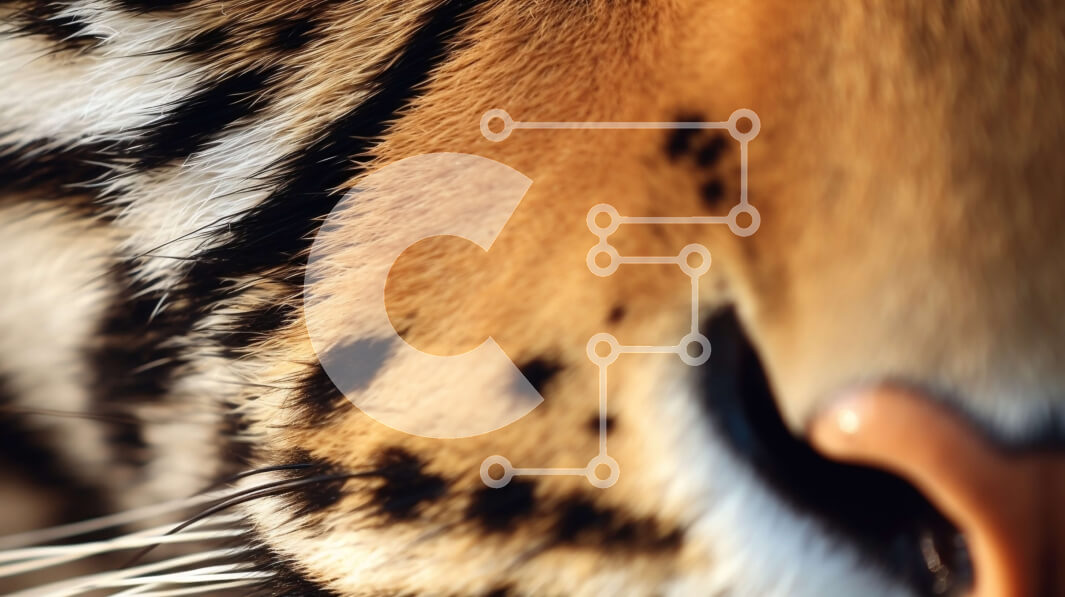 Intra Συλλεκτικό Ξύλινο Παζλ Plywood  4mm - Κοντινή εικόνα του προσώπου μιας τίγρης Σε Ξύλινο Κουτί - Διαστάσεις: 10x10 cm – 25 κομμάτια